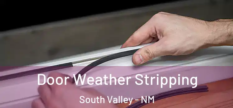  Door Weather Stripping South Valley - NM