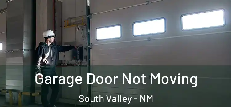  Garage Door Not Moving South Valley - NM