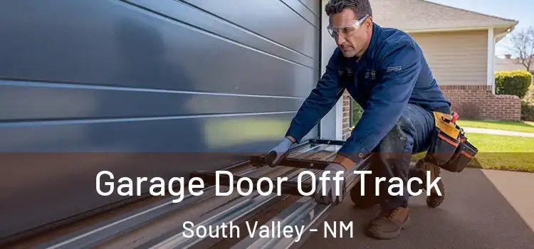  Garage Door Off Track South Valley - NM