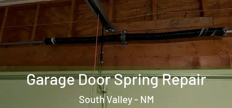  Garage Door Spring Repair South Valley - NM
