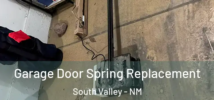  Garage Door Spring Replacement South Valley - NM